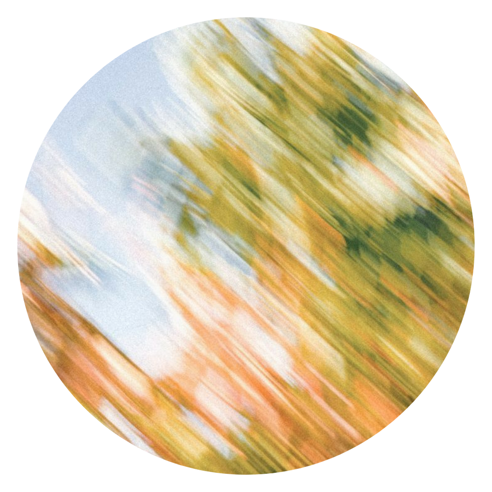 blurry tree with sky