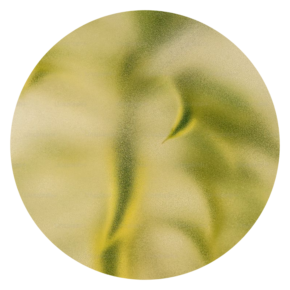 blurry green plant