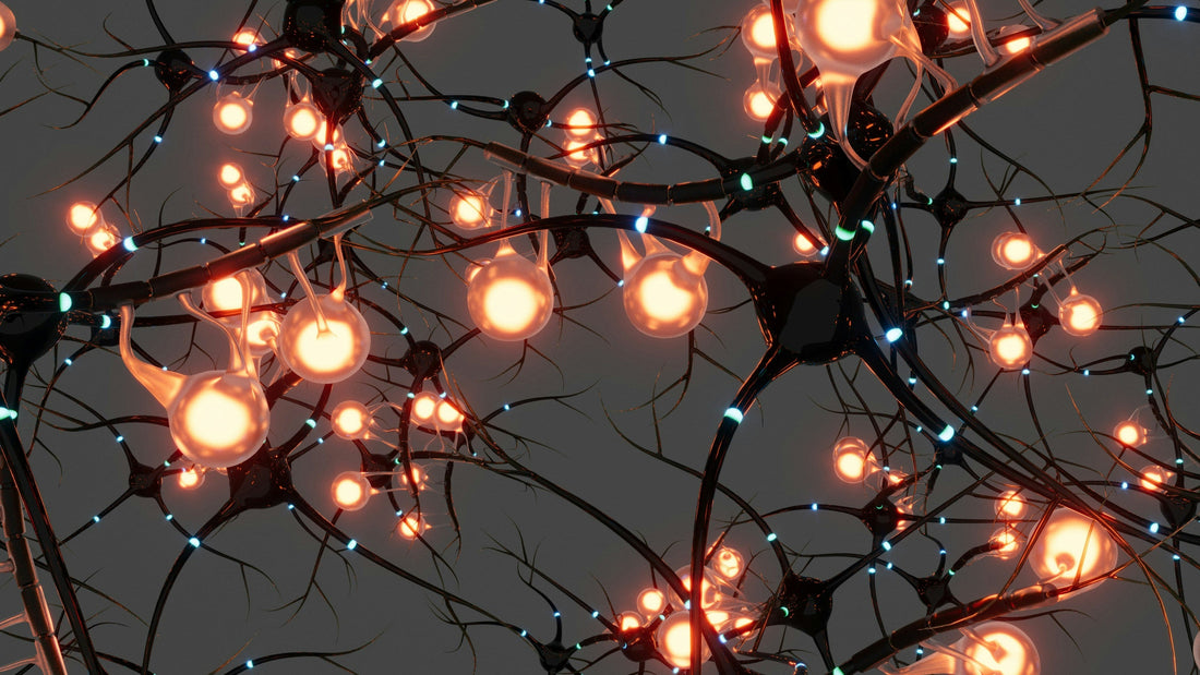 The Brain: Where Emotions Are Processed and Clarity Is Restored