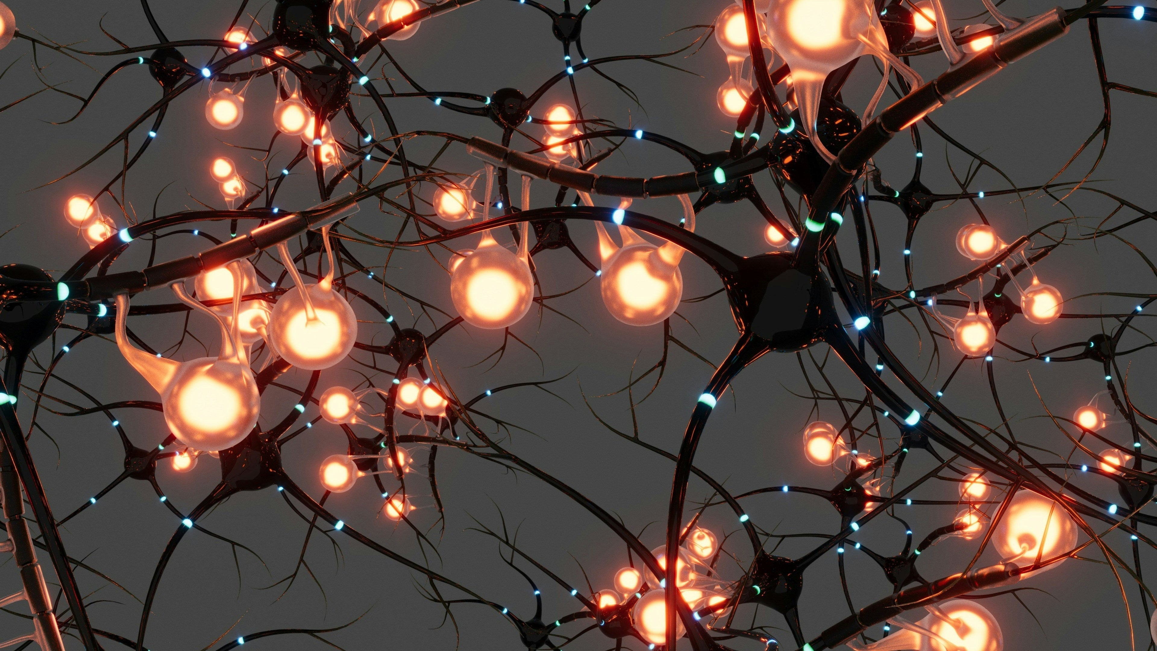 The Brain: Where Emotions Are Processed and Clarity Is Restored