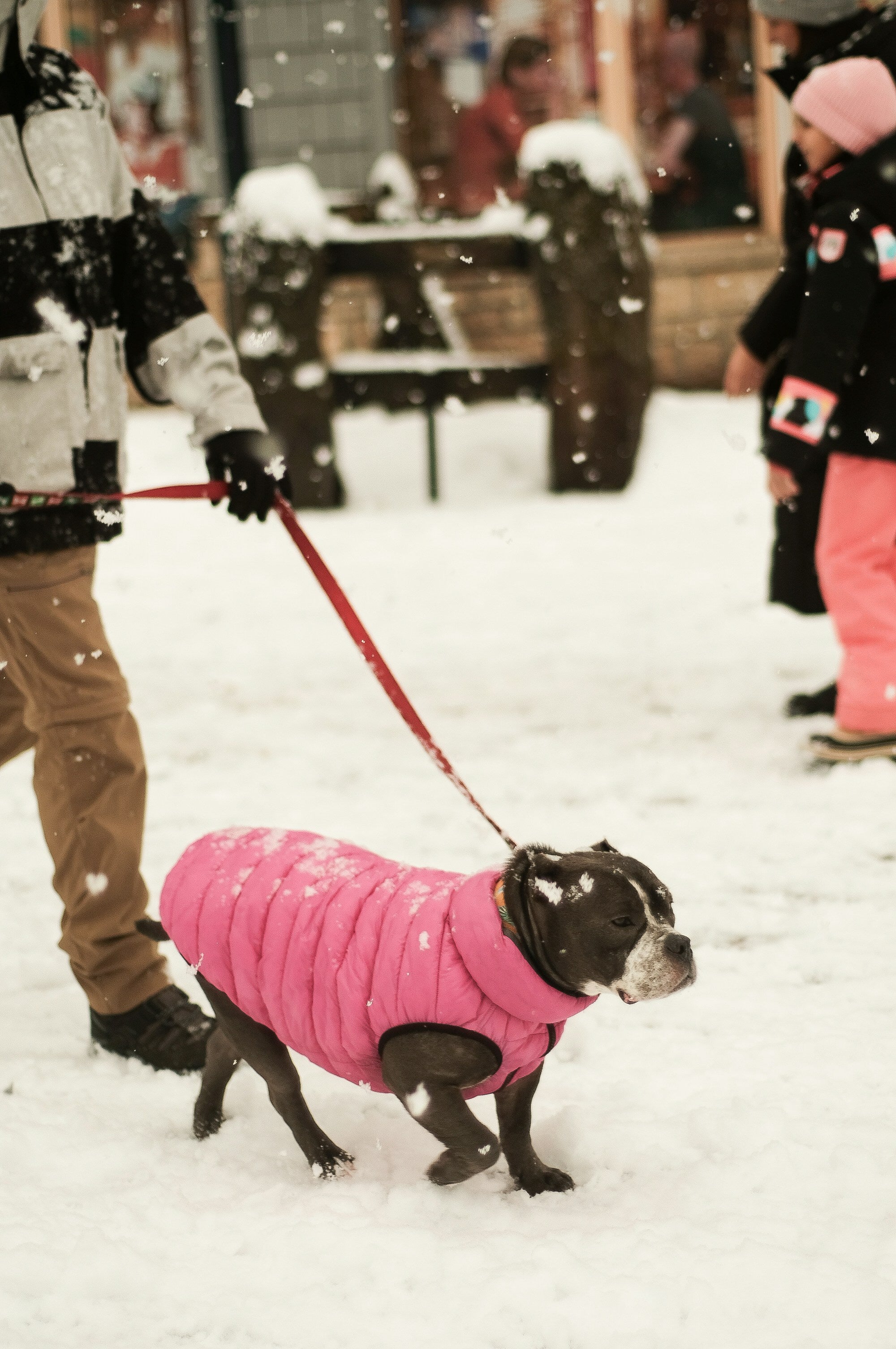 How to Get Fresh Air in the Winter