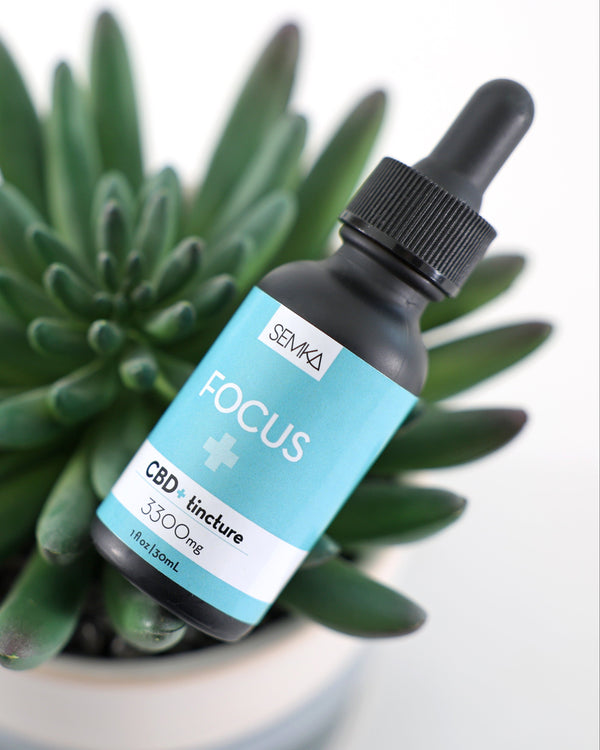 focus cbd tincture