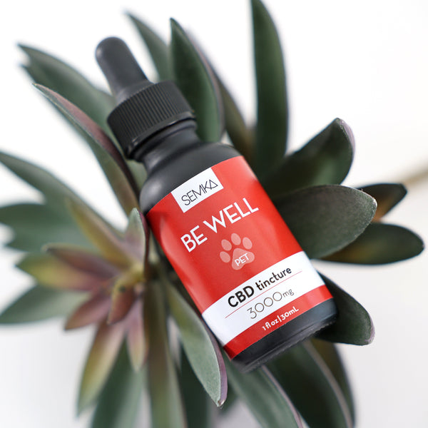 be well pet cbd tincture