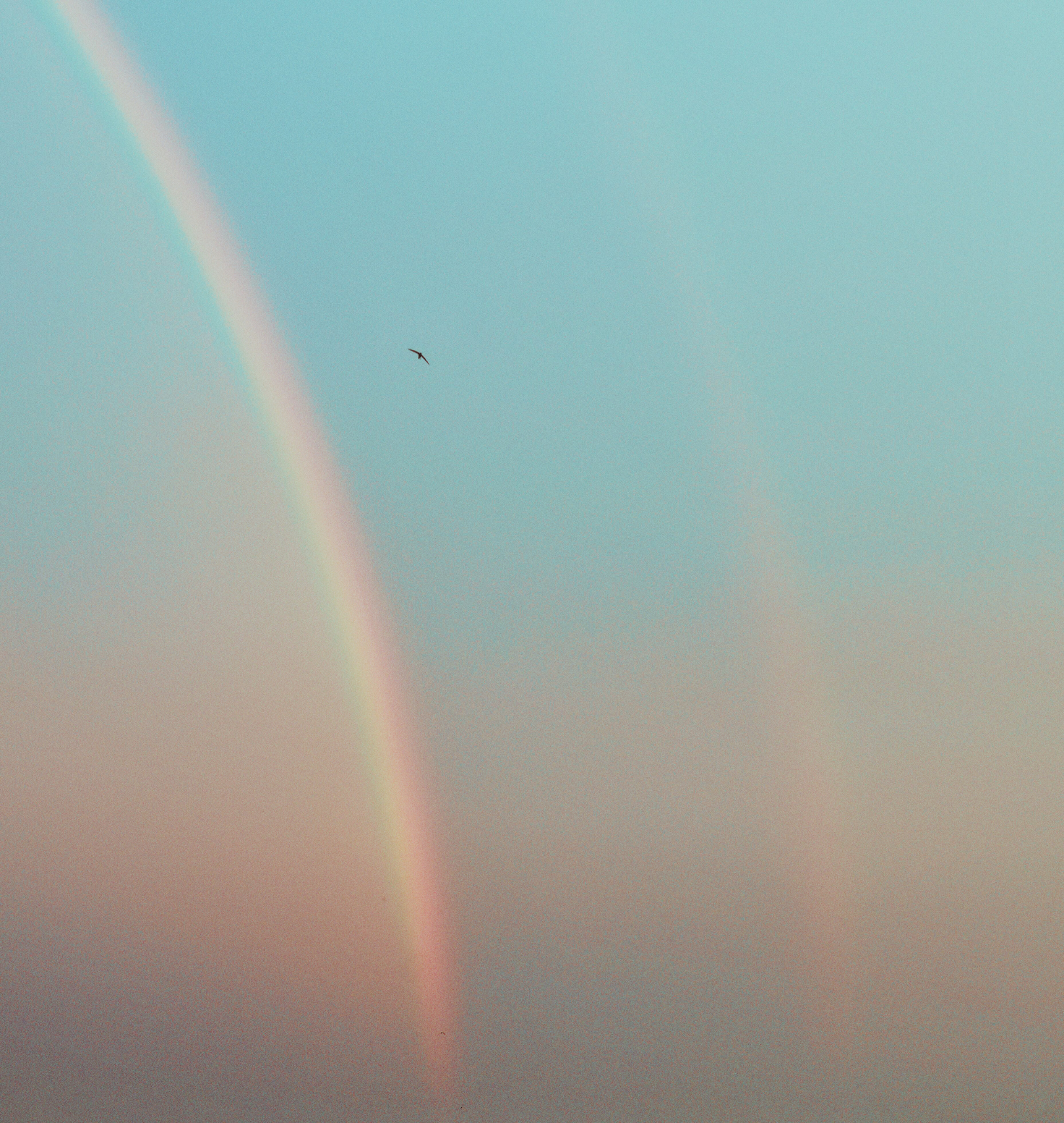 rainbow with blue sky